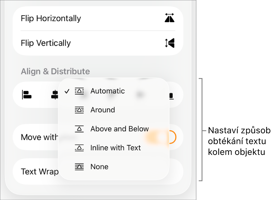 Ovládací prvky formátování s vybraným panelem Rozložení. Pod ním se nacházejí ovládací prvky Obtékání textu spolu s volbami Přesunout na pozadí/do popředí, V textu a Obtékání textu