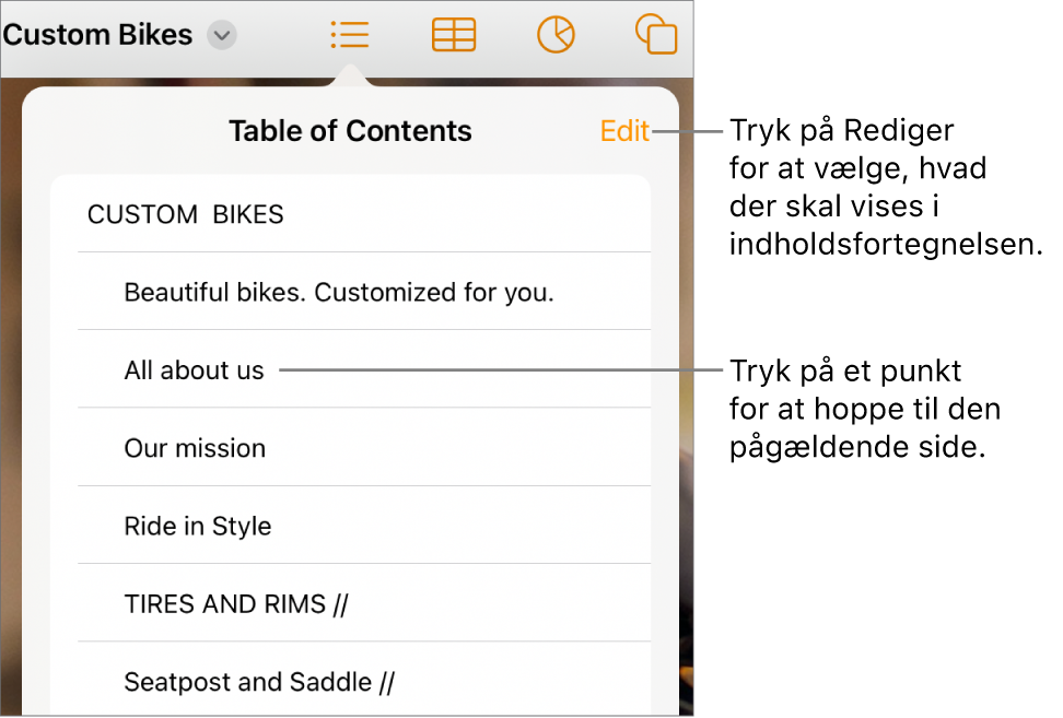 Oversigten med en liste over punkter i indholdsfortegnelsen. Knappen Rediger findes i øverste højre hjørne af oversigten.