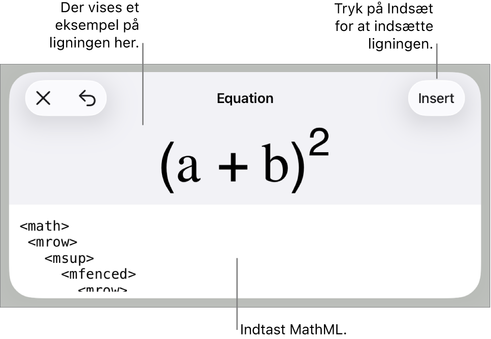 Dialogen Ligning, der viser ligningen skrevet ved hjælp af MathML-kommandoer og derover et eksempel på formlen.