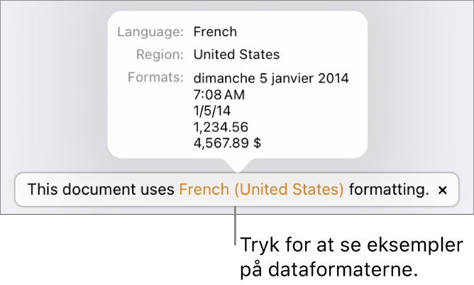 Notifikationen om de forskellige indstillinger af sprog og område, der viser eksempler på den formatering, som hører til sproget og området.