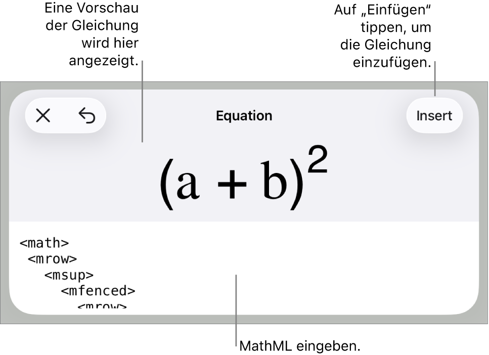 Im Dialogfenster „Gleichung“ wird eine Gleichung angezeigt, die mit MathML-Befehlen geschrieben wurde, darüber wird eine Vorschau der Formel angezeigt.
