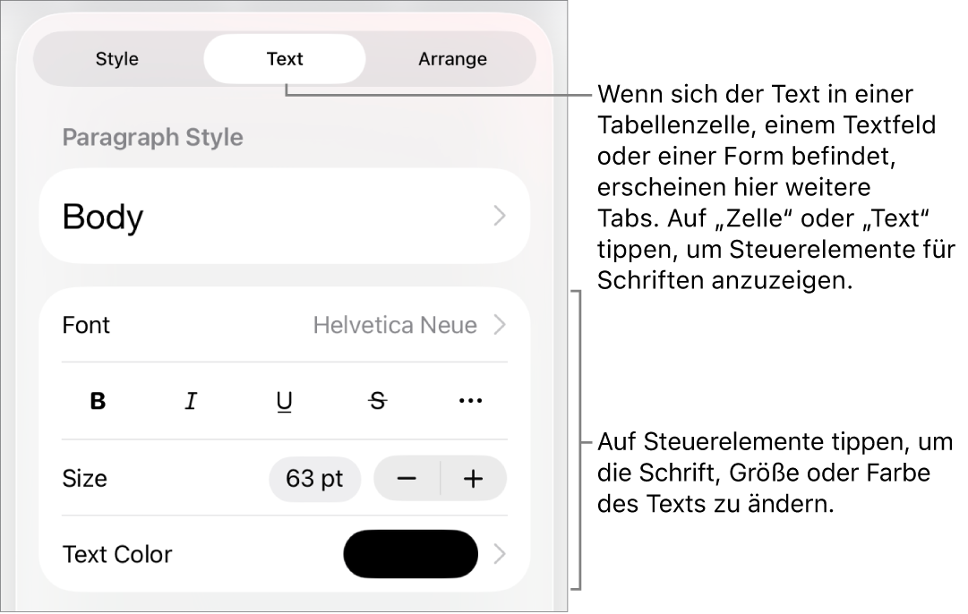 Textsteuerelemente im Menü „Format“ zum Festlegen von Absatz- und Zeichenstilen, Schrift, Größe und Farbe