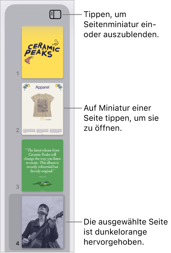 Darstellung mit den Seitenminiaturen links auf dem Bildschirm mit einem zweiseitigen Bereich, einer Trennlinie und einer Seite des nächsten Bereichs Die Taste „Darstellung“ über den Miniaturen.