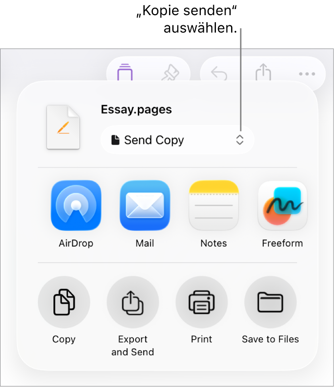 Das Menü „Teilen“, in dem „Kopie senden“ oben ausgewählt ist.