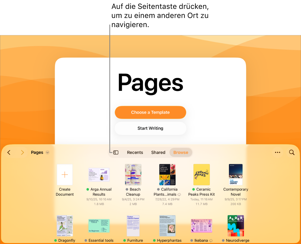 Die Darstellung zum Durchsuchen des Dokumentenmanagers mit der Taste „Seitenleiste“ oben links. Oben rechts sind die Tasten „Hinzufügen“, „Neuer Ordner“, „Symbole“ (zum Sortieren nach Name, Datum, Größe oder Tag), „Auswählen“ und „Suchen“. Darunter befinden sich Miniaturen der vorhandenen Dokumente.