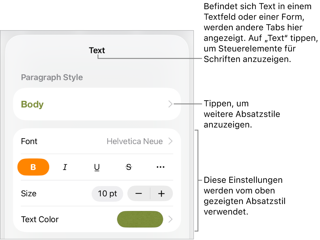Das Menü „Format“ mit Textsteuerelementen zum Festlegen von Absatz- und Zeichenstilen, Schrift, Größe und Farbe