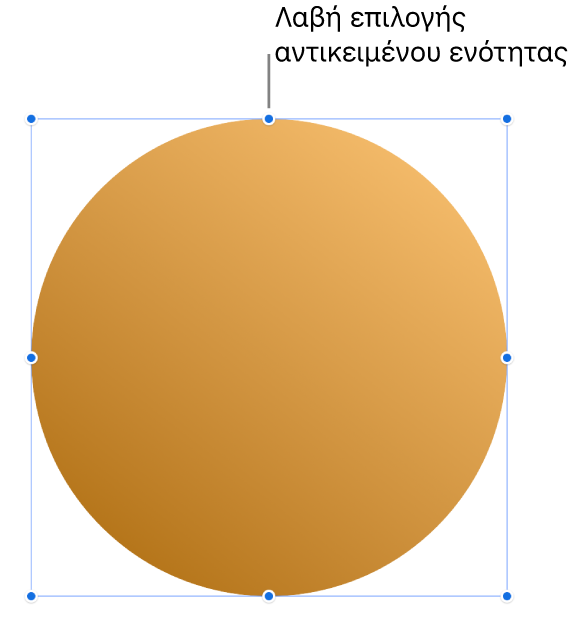 Ένα αντικείμενο με λαβές επιλογής.
