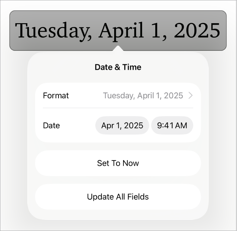 The Date & Time controls showing a pop-up menu for date Format, and Set to Now and Update All Fields buttons.