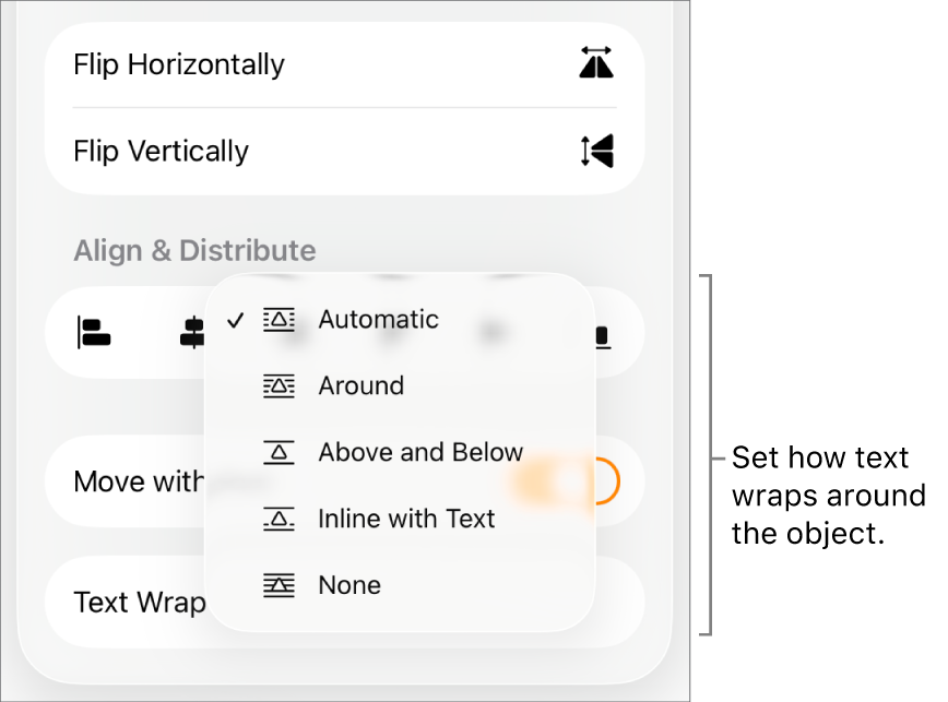 The Format controls with the Arrange tab selected. Below it are Text Wrap controls with Move to Back/Front, Move with Text and Text Wrap.