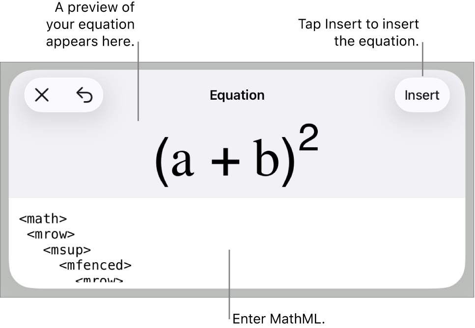 The Equation dialogue, showing an equation written using MathML commands, and a preview of the formula above.