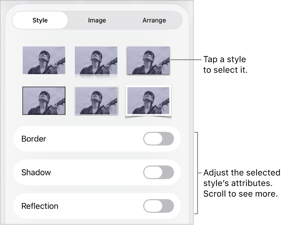 The Style tab of the Format menu with object styles at the top and controls below them to change the border, shadow, reflection and opacity.