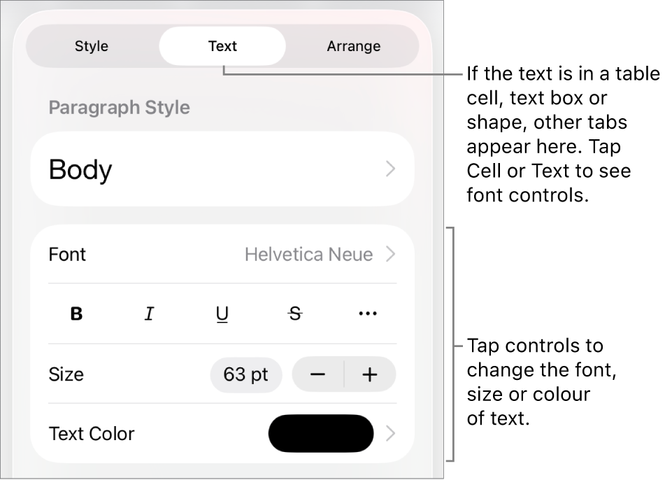 Text controls in the Format menu for setting paragraph and character styles, font, size and colour.