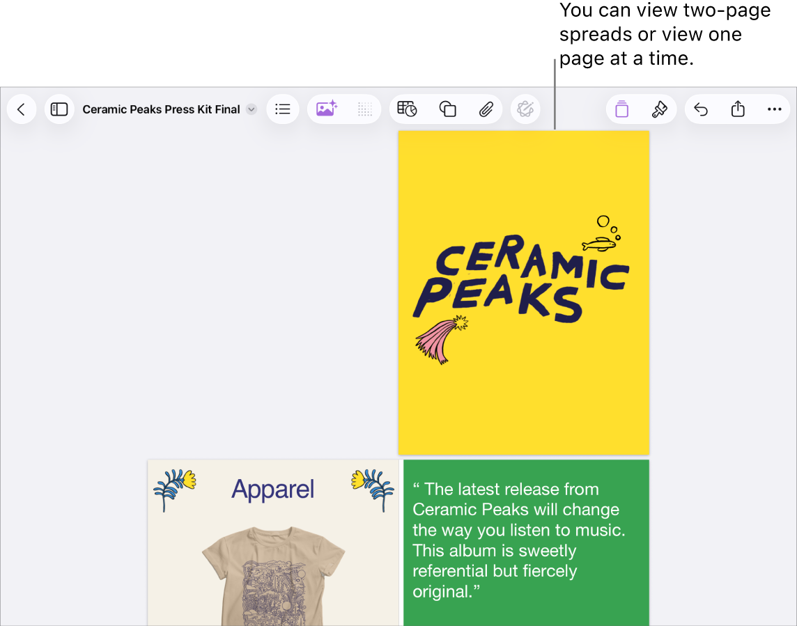 A document with pages viewed as two-page spreads.