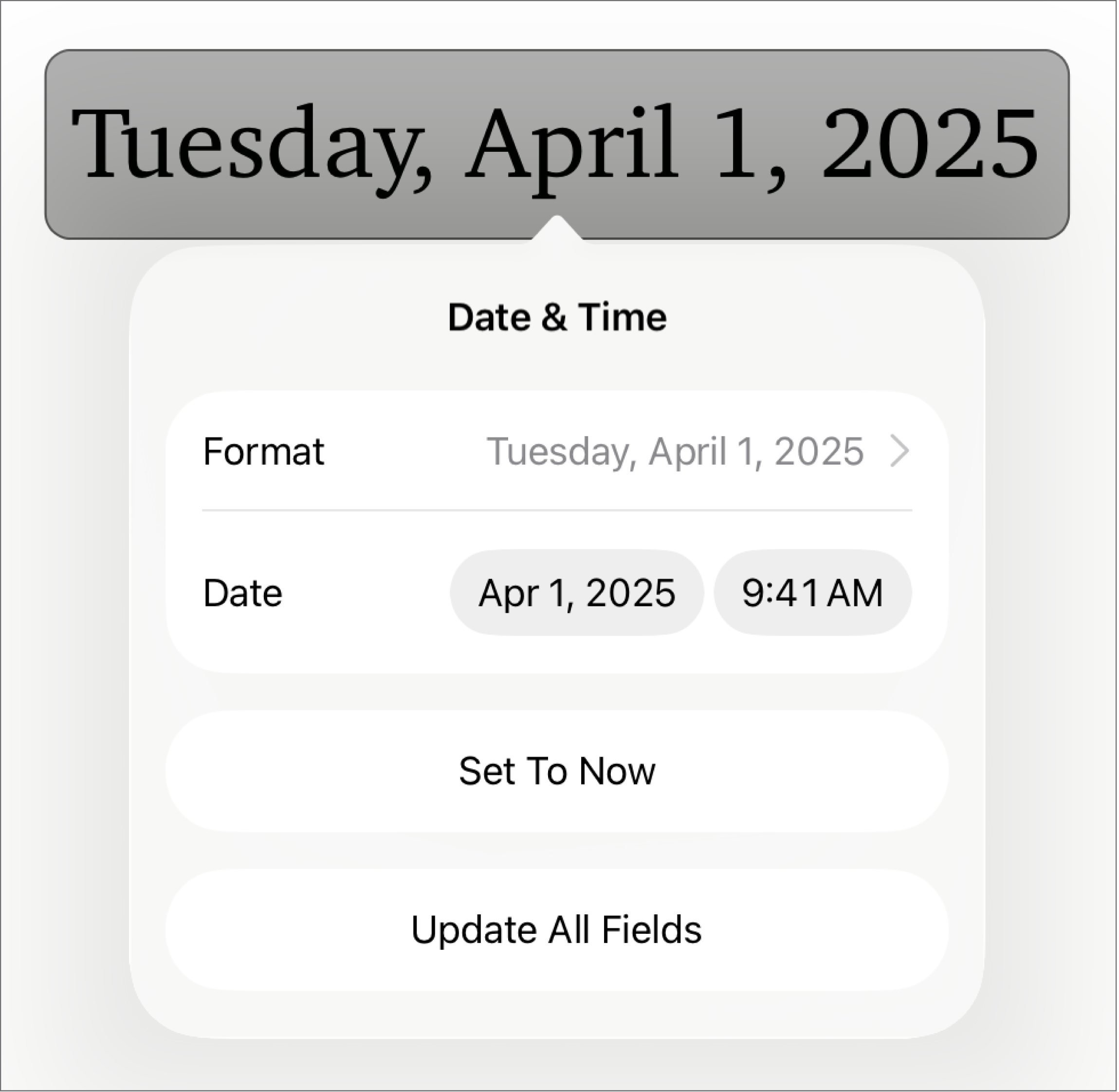 The Date & Time controls showing a pop-up menu for date Format, and Set to Now and Update All Fields buttons.