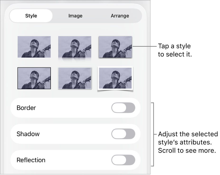 The Style tab of the Format menu with object styles at the top and controls below them to change the border, shadow, reflection, and opacity.