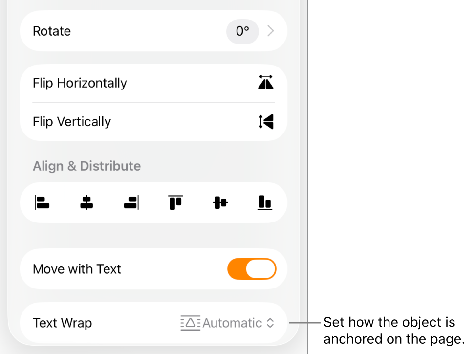 The Format controls with the Arrange tab selected and controls for Move to Back/Front, Move with Text, and Text Wrap.