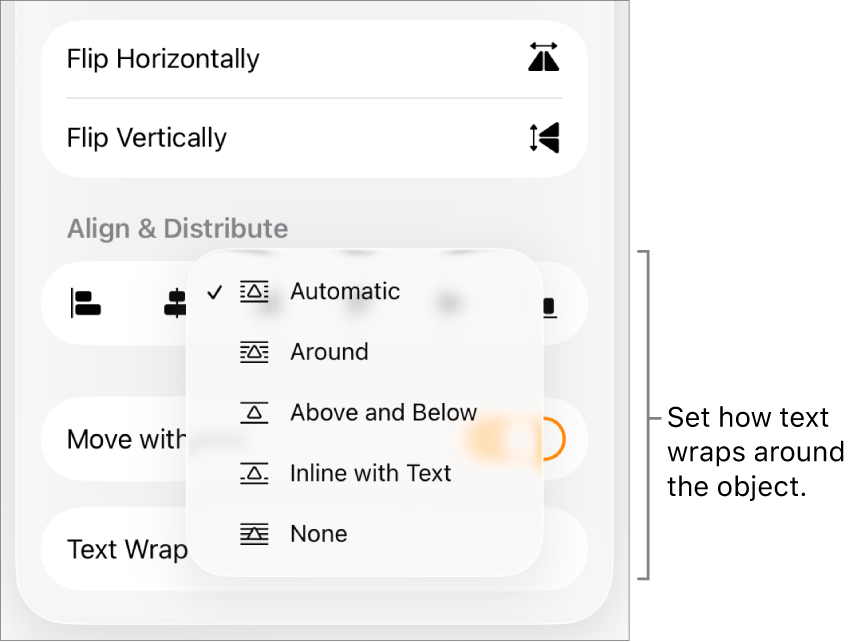 The Format controls with the Arrange tab selected. Below it are Text Wrap controls with Move to Back/Front, Move with Text, and Text Wrap.