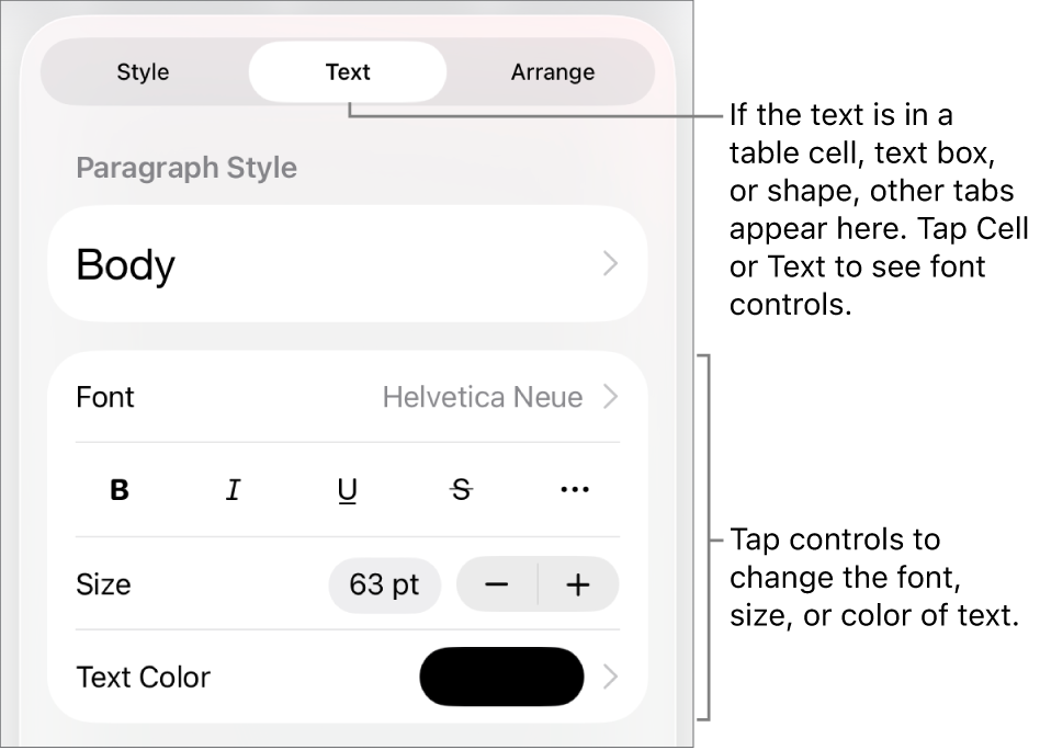 Text controls in the Format menu for setting paragraph and character styles, font, size, and color.