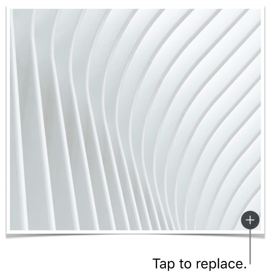 An image with a Replace Image button.