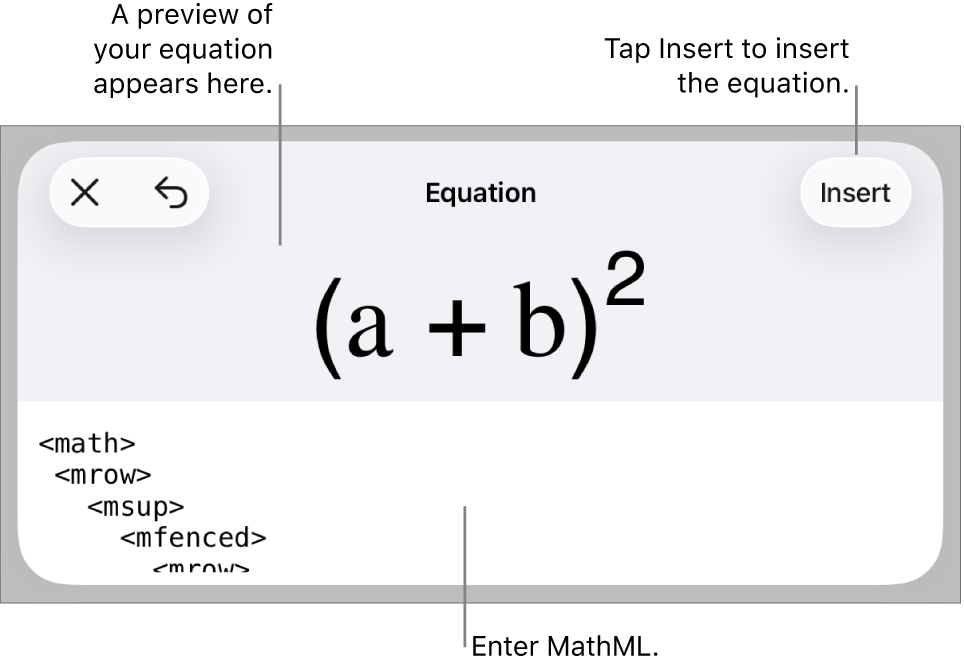 The Equation dialogue, showing an equation written using MathML commands, and a preview of the formula above.