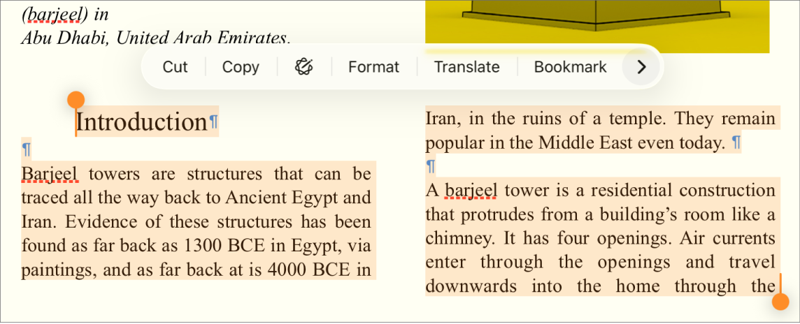 Text showing symbols for a paragraph break and a section break.