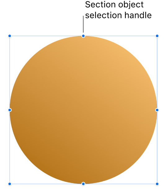 An object with selection handles.