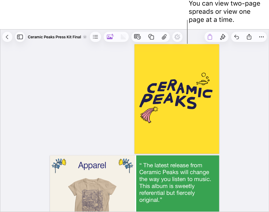 A document with pages viewed as two-page spreads.