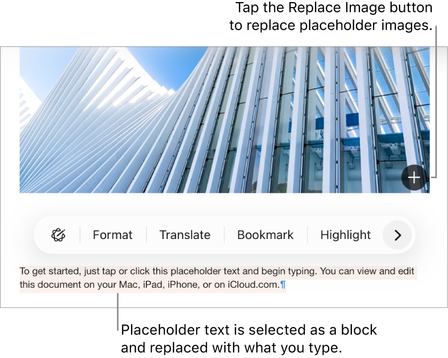 Placeholder text and images.