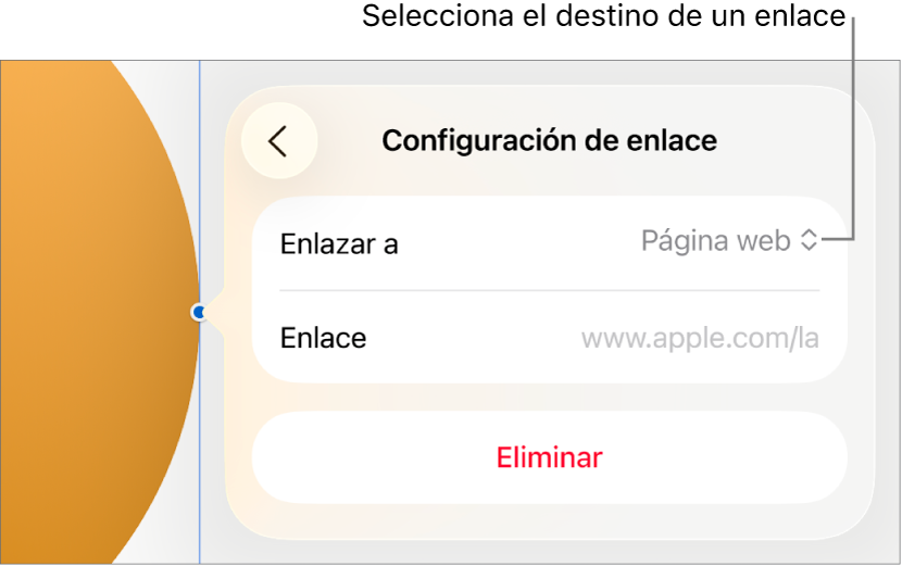 Los controles de Configuración de enlace con la opción Página web seleccionada, y el botón Eliminar en la parte de abajo.