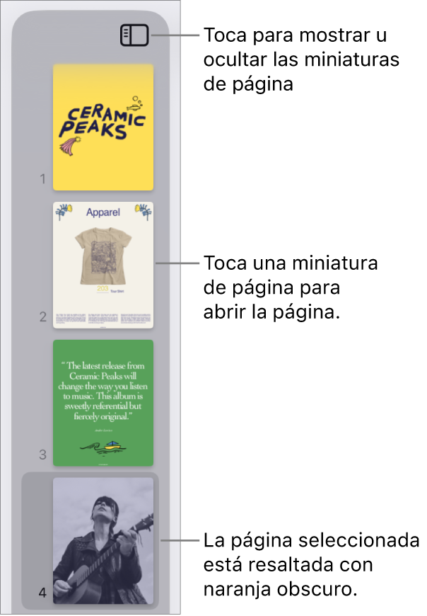La visualización Miniaturas de página en el lado izquierdo de la pantalla, con una página seleccionada. El botón Opciones de visualización está arriba de las miniaturas.