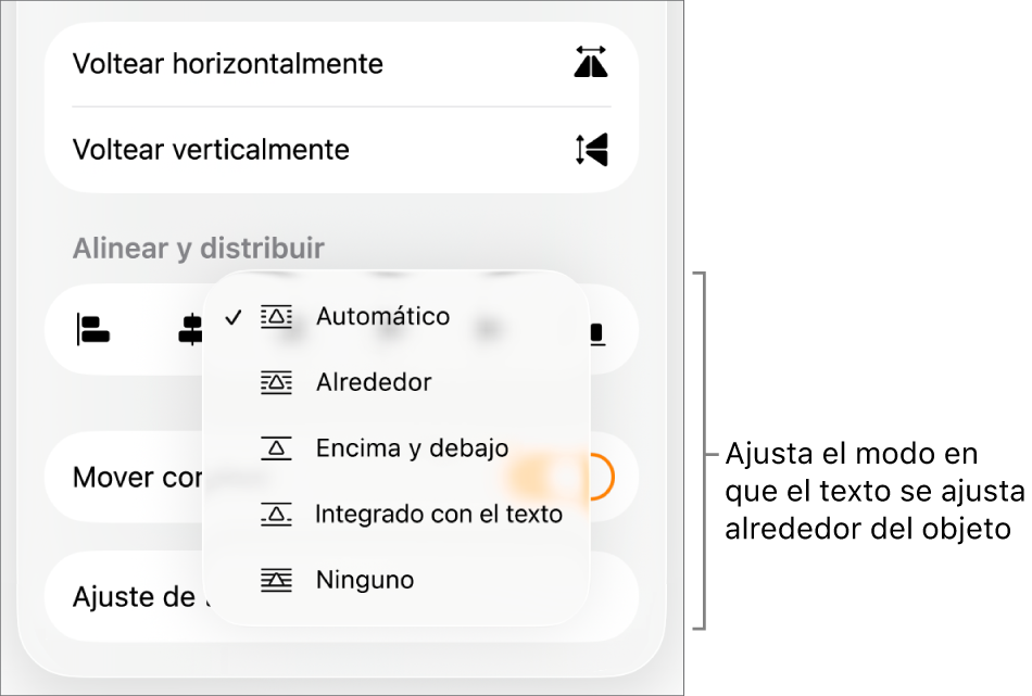 Los controles de formato con la pestaña Orden seleccionada. Debajo están los controles Ajuste de texto con las opciones Mover al fondo/al frente, Mover con texto y Ajuste de texto.