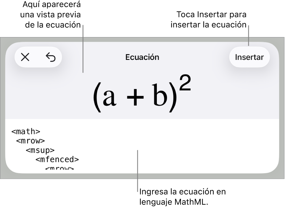 El cuadro de diálogo Ecuación con una ecuación escrita con comandos de MathML y una vista previa de la fórmula encima.