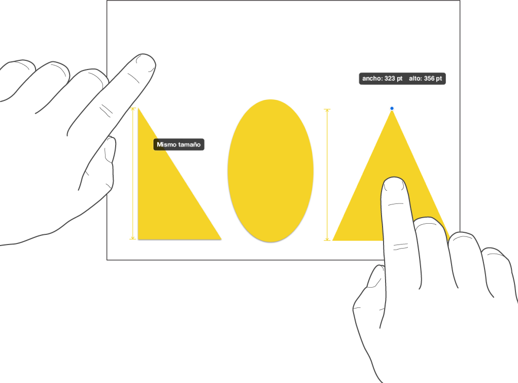 Un dedo justo encima de una figura y otro dedo manteniendo presionado un objeto con las palabras “Mismo tamaño” en la pantalla.