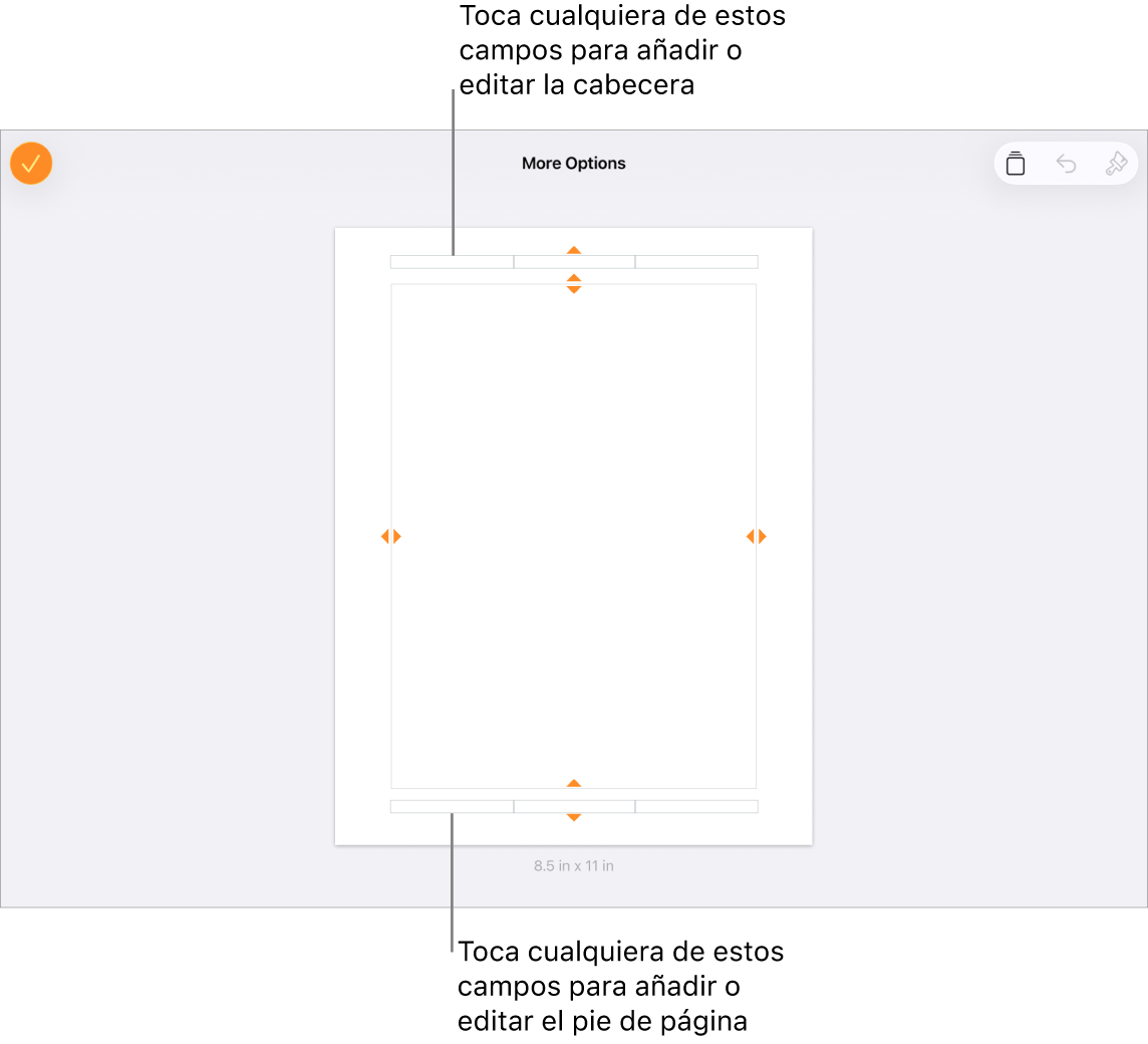 La visualización “Más opciones” con tres campos en la parte superior del documento para las cabeceras y tres campos en la parte inferior para los pies de página.