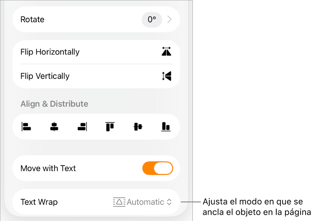 Los controles de formato con la pestaña Disposición seleccionada y controles para “Mover a capa inferior/superior”, “Mover con el texto” y “Ajuste de texto”.