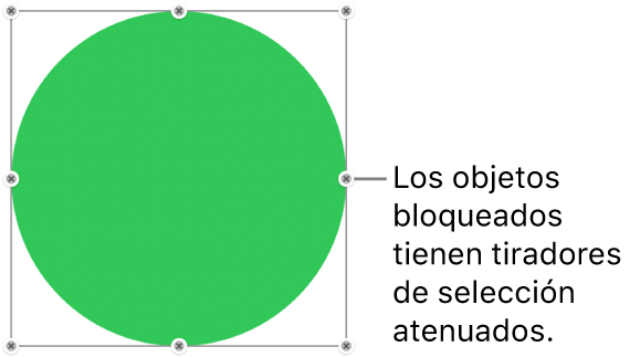Un objeto bloqueado con tiradores de selección atenuados.