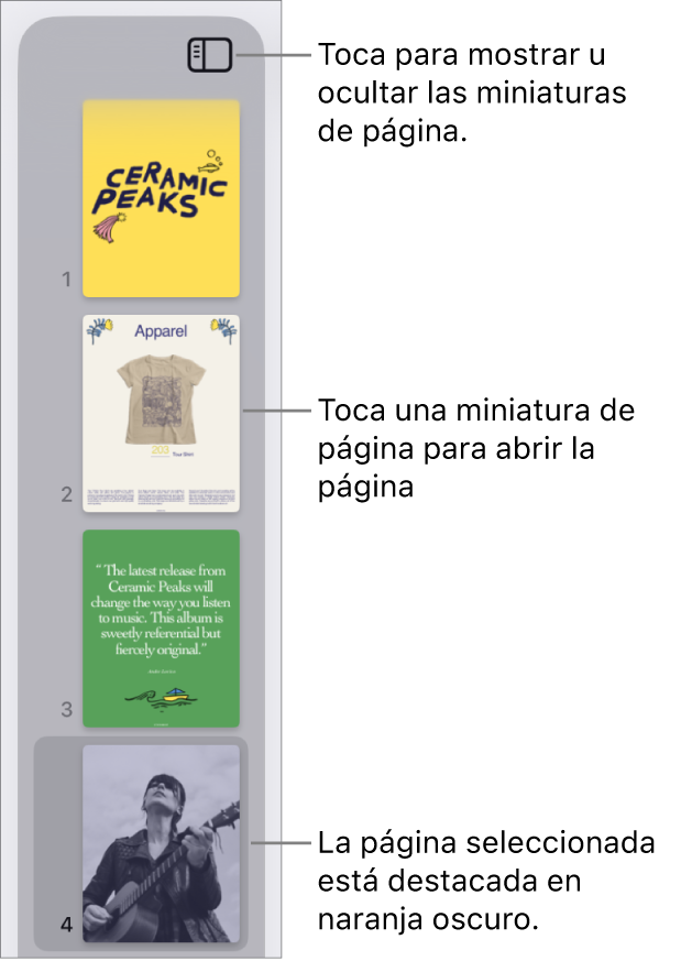Visualización de miniaturas de página en el lado izquierdo de la pantalla con una página seleccionada. El botón “Opciones de visualización” está encima de las miniaturas.