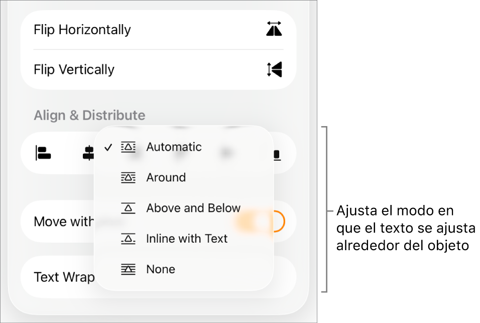 Los controles de Formato con la pestaña Disposición seleccionada. Debajo aparecen los controles de ajuste del texto, que incluyen “Mover a capa inferior/superior”, “Mover con texto” y “Ajuste de texto”.