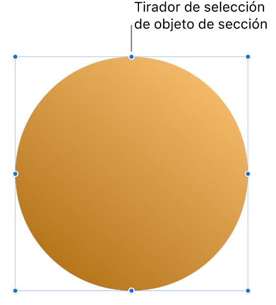 Un objeto con tiradores de selección.