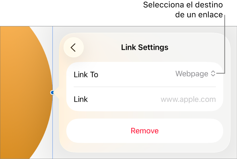 Controles de “Ajustes de enlace” con la opción “Página web” seleccionada y el botón Eliminar en la parte inferior.