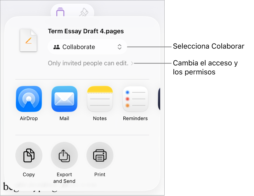 El menú Compartir con la opción Colaborar seleccionada en la parte superior y los ajustes de acceso y permisos debajo.