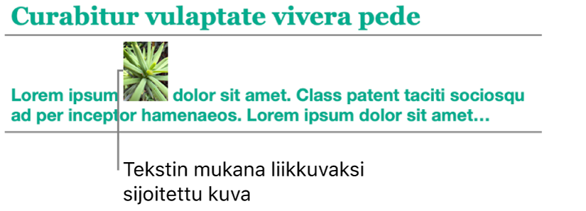 Kuva sijoitettuna tekstin mukana liikkuvana.
