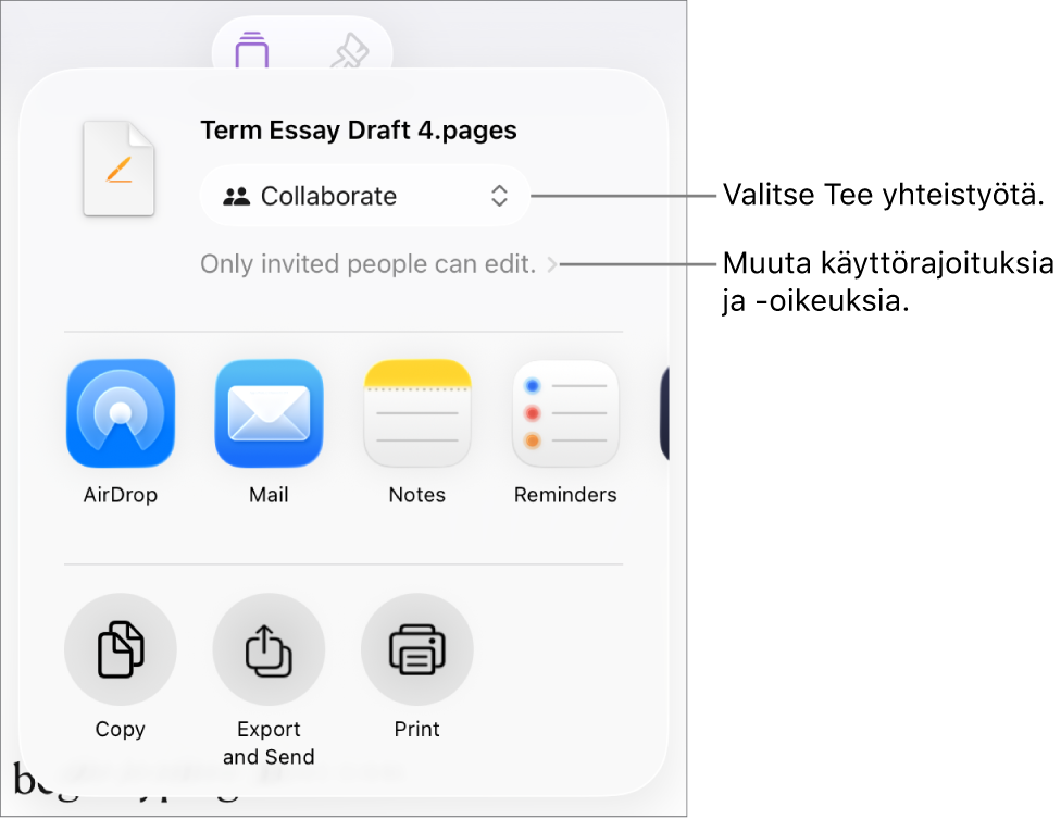 Jaa-valikko, jossa on ylhäällä valittuna Tee yhteistyötä, ja sen alla ovat käyttöoikeus- ja lupa-asetukset.
