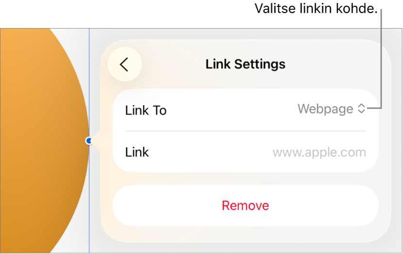 Linkkiasetukset-säätimet, joissa on valittuna Verkkosivu ja alhaalla on painike Poista.