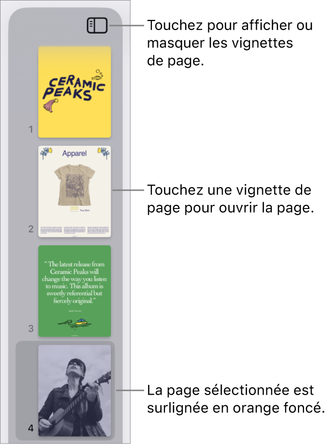 Présentation en vignettes de page du côté gauche de l’écran avec une page sélectionnée. Le bouton Options de présentation est au-dessus des vignettes.