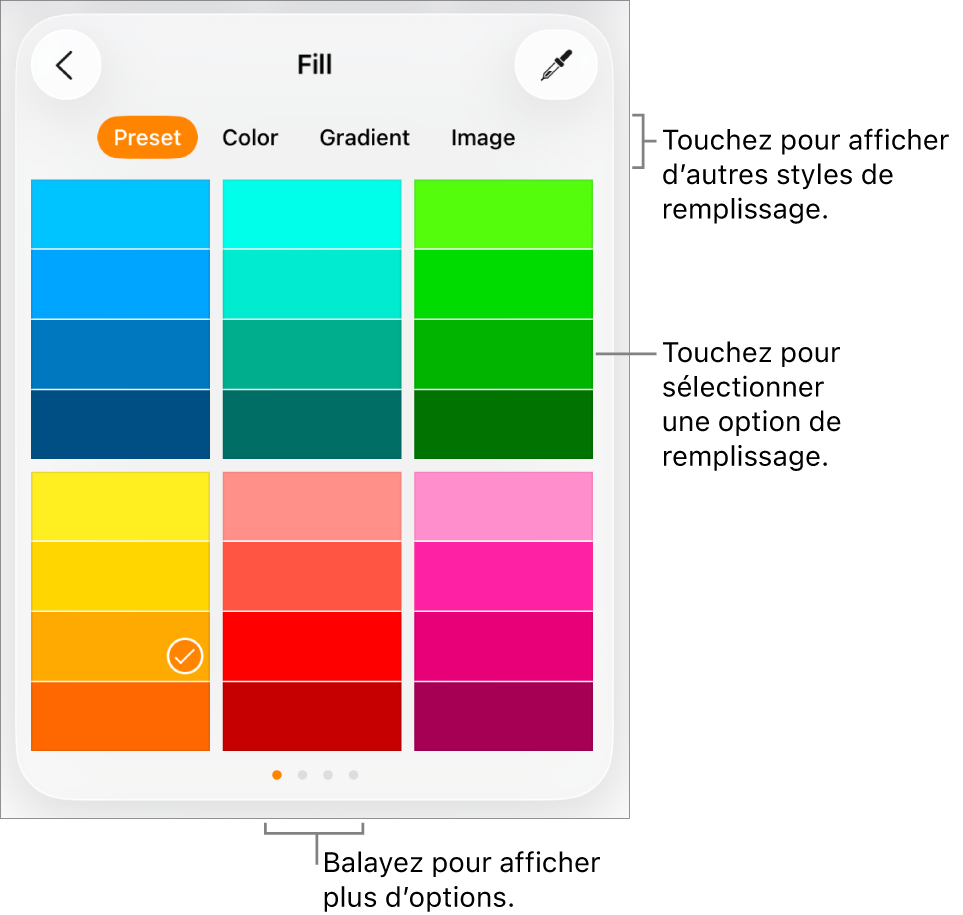 Options de remplissage de l’onglet Style du bouton Format.
