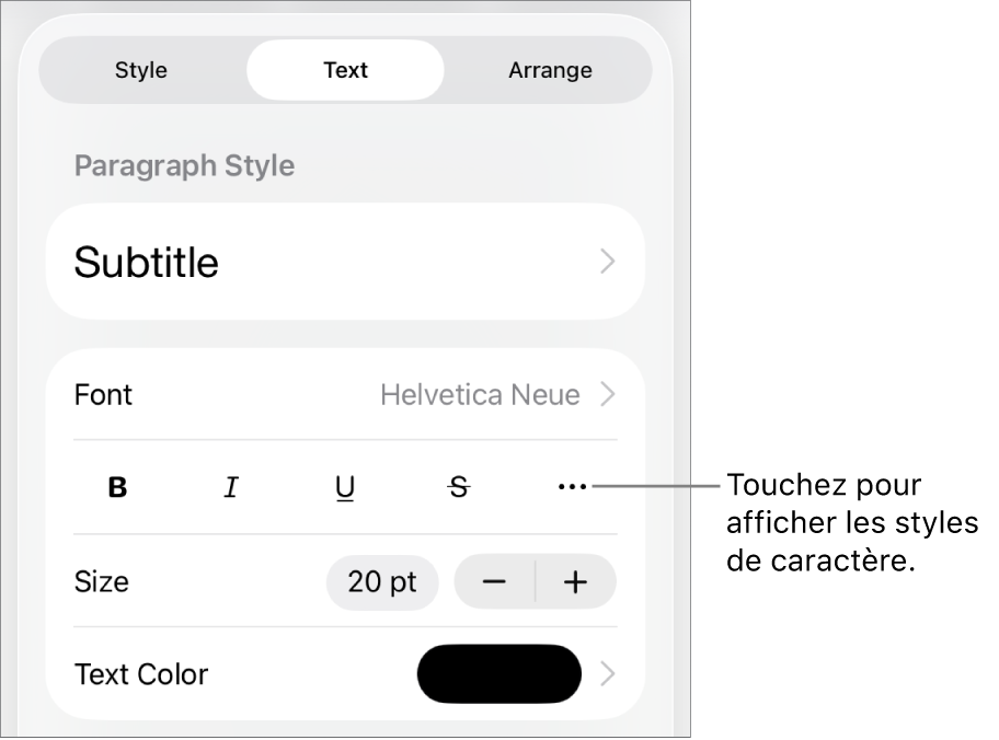 Les commandes de Format avec les styles de paragraphes en haut, puis les commandes de Police. Sous Police se trouvent les boutons Gras, Italique, Souligné, Barré et Plus d’options de texte.