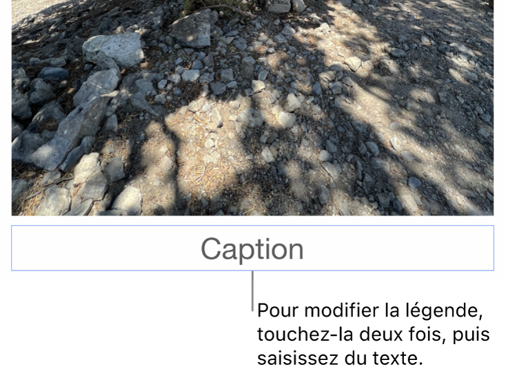 Le paramètre fictif de légende, « Légende », s’affiche sous une photo; un contour bleu autour du champ de légende indique qu’il est sélectionné.