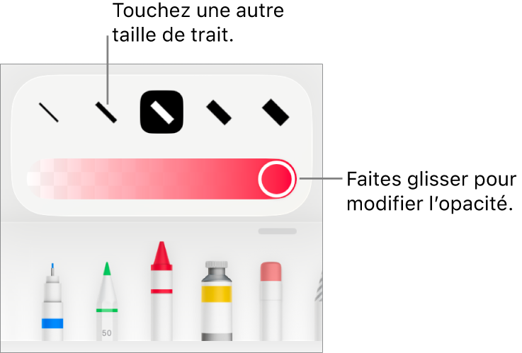Commandes de sélection de taille de trait et curseur d’ajustement de l’opacité.