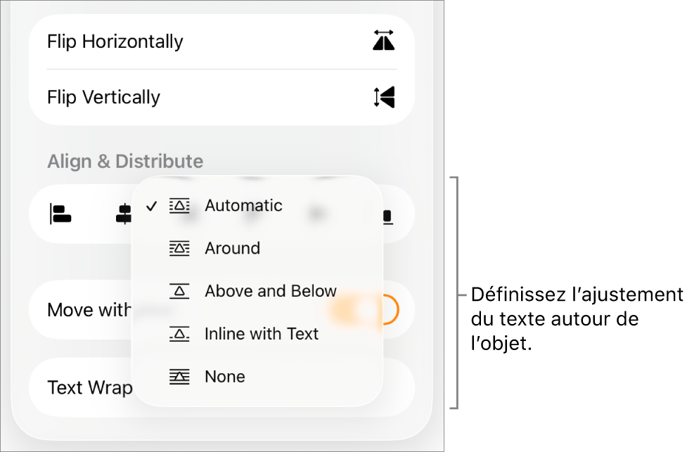 Les commandes Format avec l’onglet Disposition sélectionné. En dessous se trouvent les commandes « Ajustement du texte » avec les options « Déplacer vers l’arrière/avant », « Déplacer avec texte » et « Ajustement du texte ».